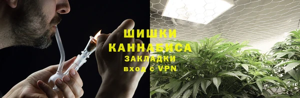 ГАЛЛЮЦИНОГЕННЫЕ ГРИБЫ Верея