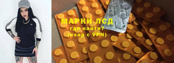 ГАЛЛЮЦИНОГЕННЫЕ ГРИБЫ Верея