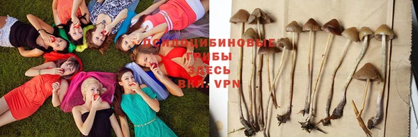 СК Волосово